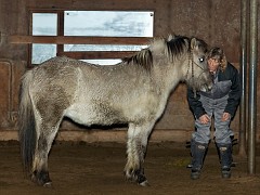 IMG_3073_2013_©_flintfoto.dk