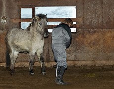 IMG_3077_2013_©_flintfoto.dk